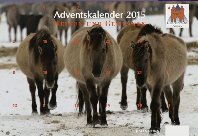 Adventskalender 2015
